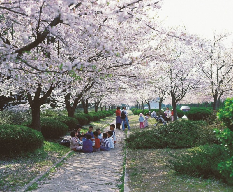 봄철 나들이, 치아건강 위한다면 양치도구는 '필수'