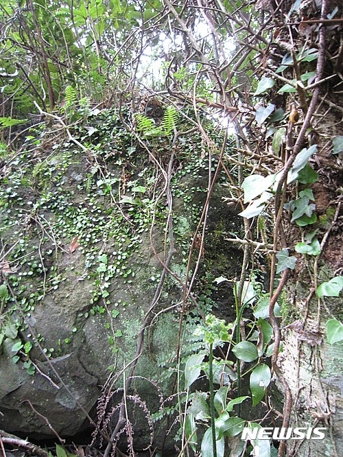 사진=뉴시스 제공