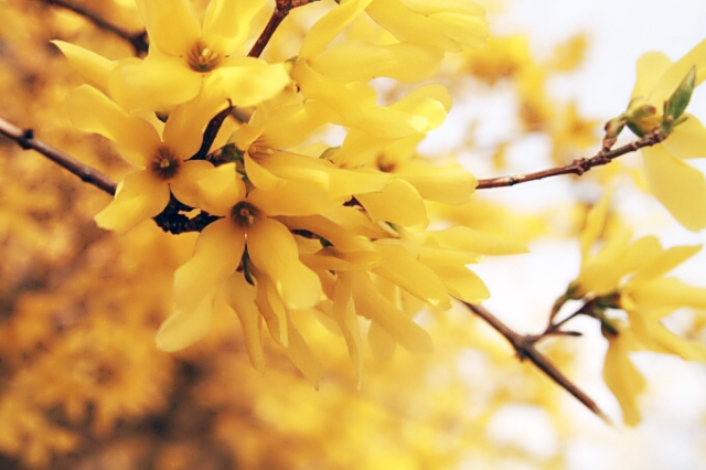 신인가수 이온 "압구정MJ프로젝트" 이젠 봄봄봄 음원 참여
