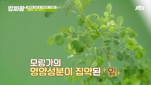 사진=JTBC '알짜왕' 캡처