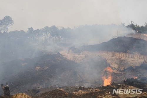 사진=뉴시스 제공