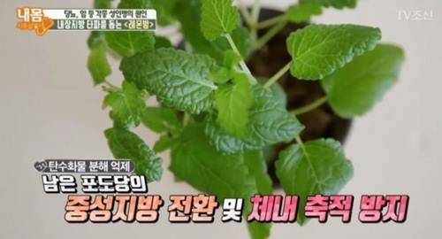 사진=TV조선 방송캡처