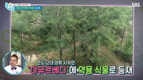 사진=SBS '좋은아침' 캡처