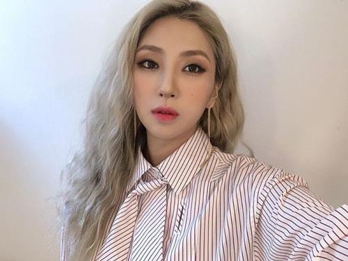 사진=자이언트핑크 SNS