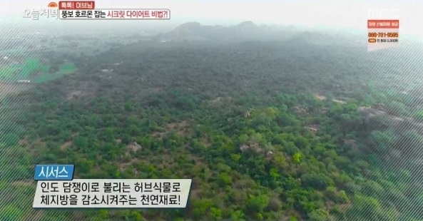 사진='생방송 오늘 저녁' 방송화면 캡처