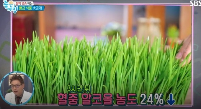 사진='좋은 아침' 방송화면 캡처