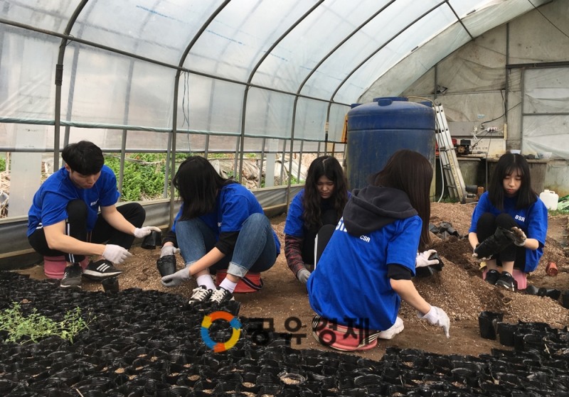 bhc치킨 '해바라기 봉사단', 농가서 봉사활동 펼쳐