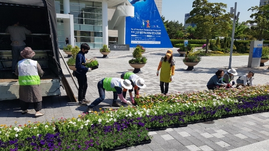  지난 3일부터 시청 앞 잔디광장에 봄꽃을 활용한 생태농업정원 조성을 시작 했다./사진=광주광역시