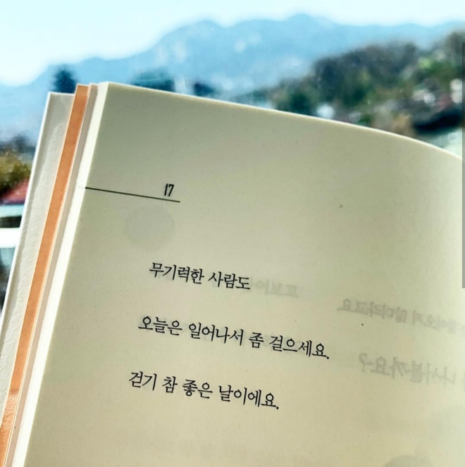 사진 출처 = 이수정 작가 인스타그램