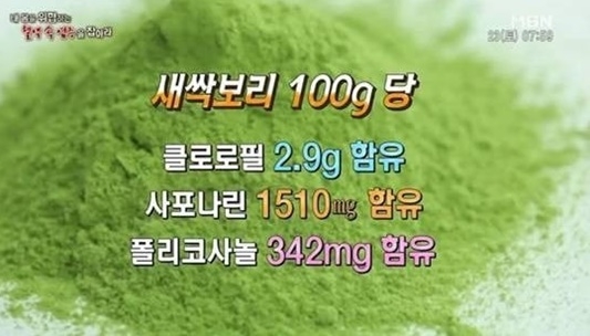 사진=MBN 캡처