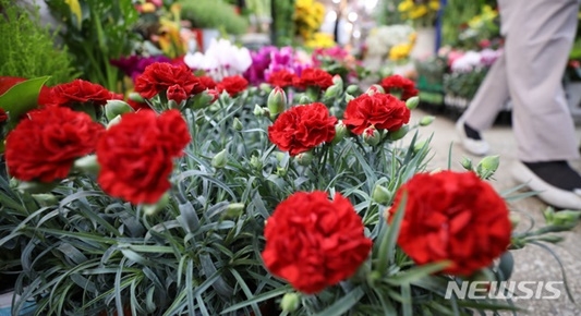 사진=뉴시스 제공