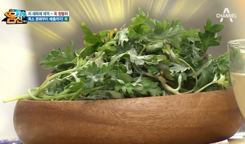 사진=채널A '나는 몸신이다' 캡처