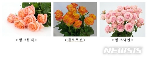 사진=뉴시스 제공