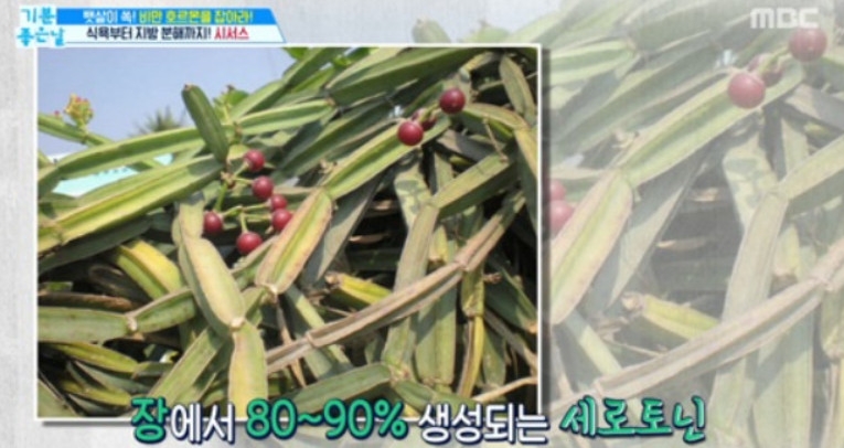 사진=MBC
