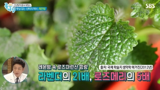 사진=SBS