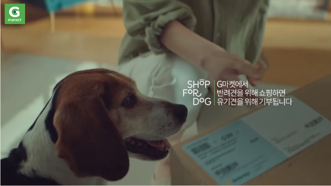 G마켓, 반려견 위한 착한 쇼핑 캠페인 진행 / 사진 제공 = G마켓