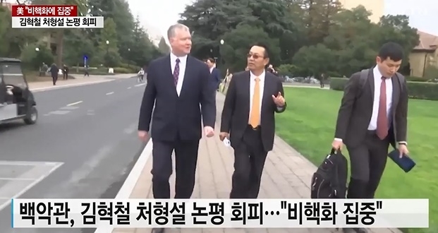 김혁철 일파만파, 진짜? 가짜?
