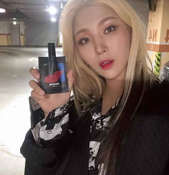 사진=자이언트 핑크 SNS