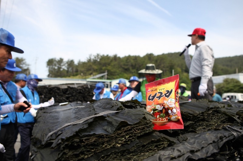 농심, 너구리 ‘완도 햇다시마’ 구매 시작