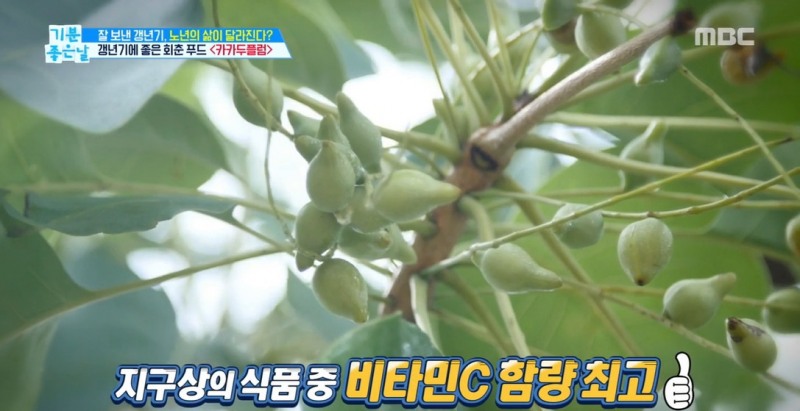 사진=MBC