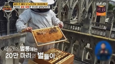 사진=KBS2 '옥탑방의 문제아들' 캡처