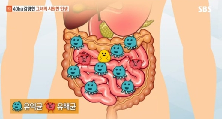 사진=SBS