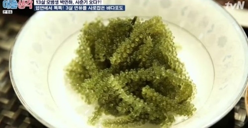 사진=tvN '애들생각' 캡처