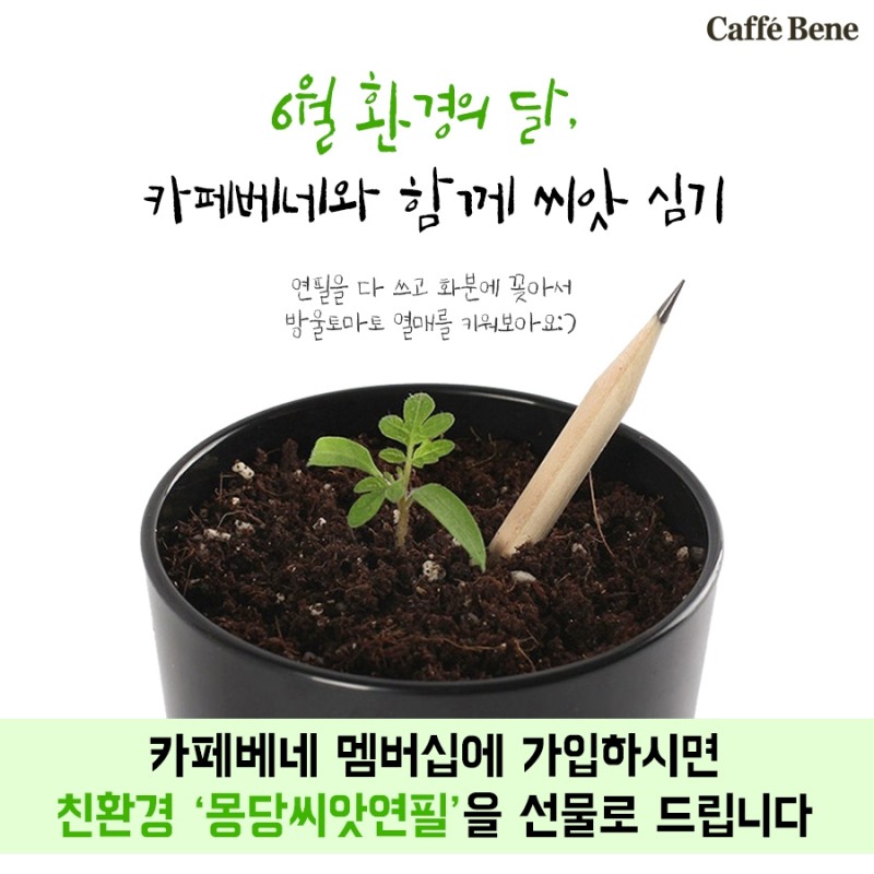 (사진=카페베네)