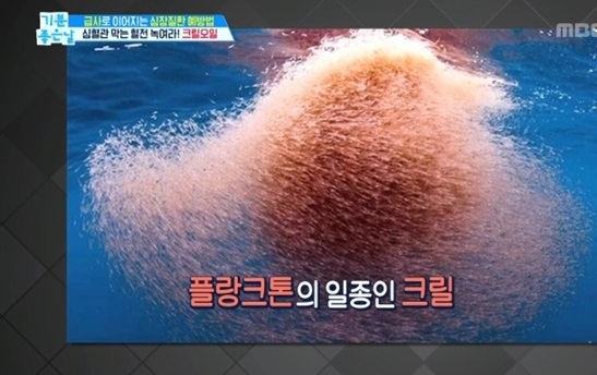 사진='기분 좋은날' 방송화면 캡처