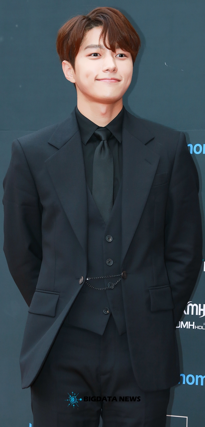 인피니트 엘, '2019 Asia Model Awards(2019 아시아모델어워즈)' 레드카펫 현장