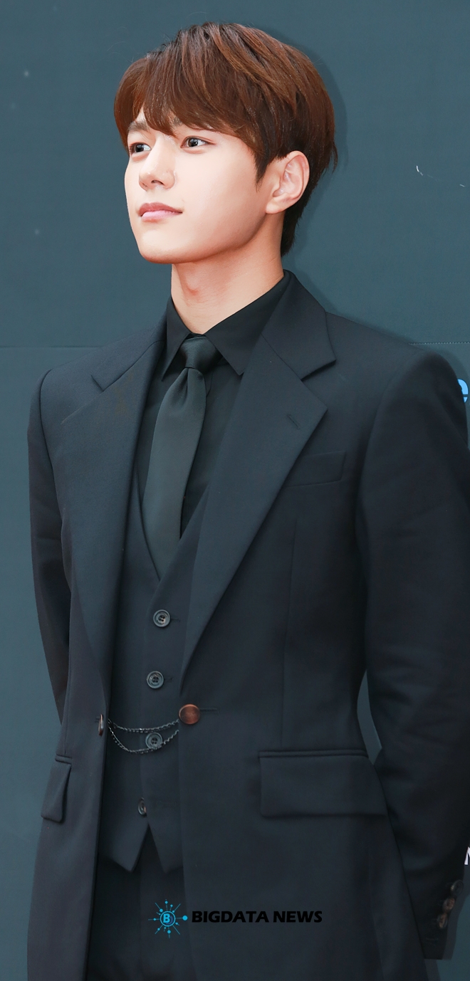 인피니트 엘, '2019 Asia Model Awards(2019 아시아모델어워즈)' 레드카펫 현장