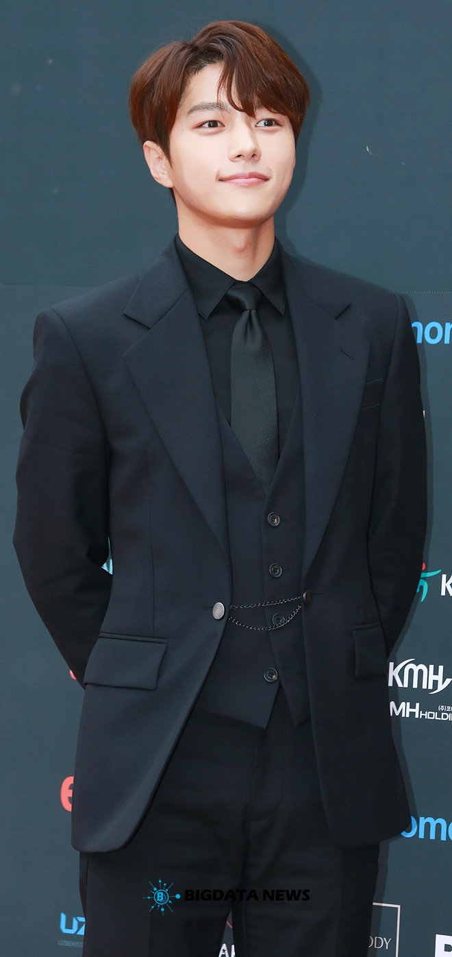인피니트 엘, '2019 Asia Model Awards(2019 아시아모델어워즈)' 레드카펫 현장