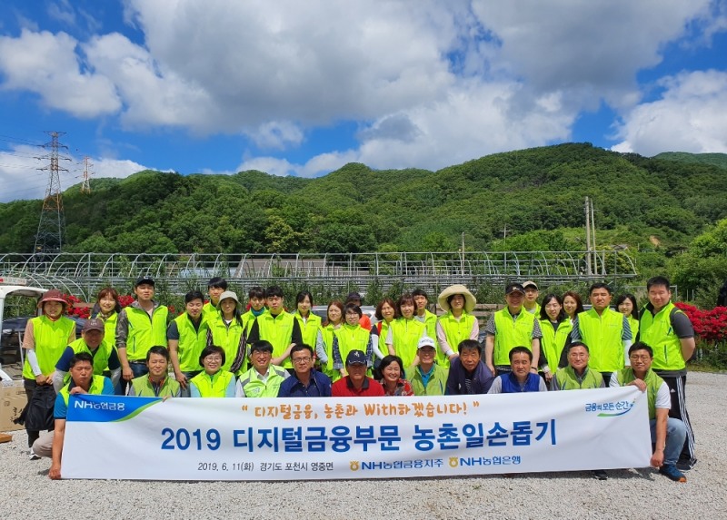 11일, 경기도 포천 소재 사과농가에서 진행된 「농협금융 디지털금융부문 농촌일손돕기」에서 남영수 디지털금융부문장(사진 1번째 줄 오른쪽 5번째)과 임직원 봉사단이 일손돕기 시작 전 기념촬영을 하고 있다.