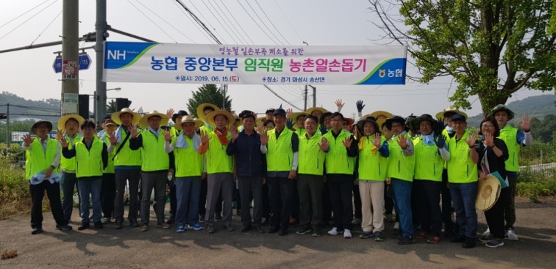 농협 임직원, 주말에도 영농철 농업인 일손지원 구슬땀