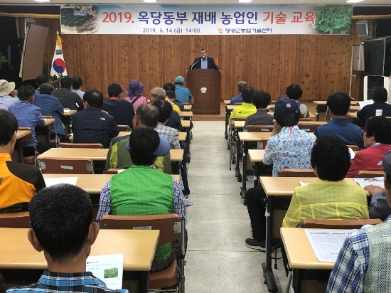 지난 6월 14일 농업기술센터에서 옥당동부 재배농가 88명을 대상으로 ‘옥당동부 재배기술 교육’을 실시했다./사진=영광군