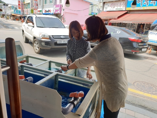사진=함평군
