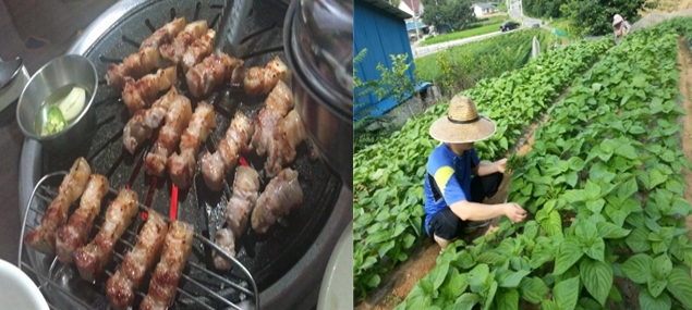 두툼한 흑돼지 삼겹살 대구 맛집 ‘명가 시골마당 짚불통삼겹살‘이 ‘봄결’로 거듭나다.