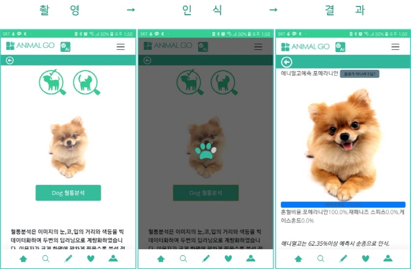 애니멀고, 고머니 코인베네 상장 확정
