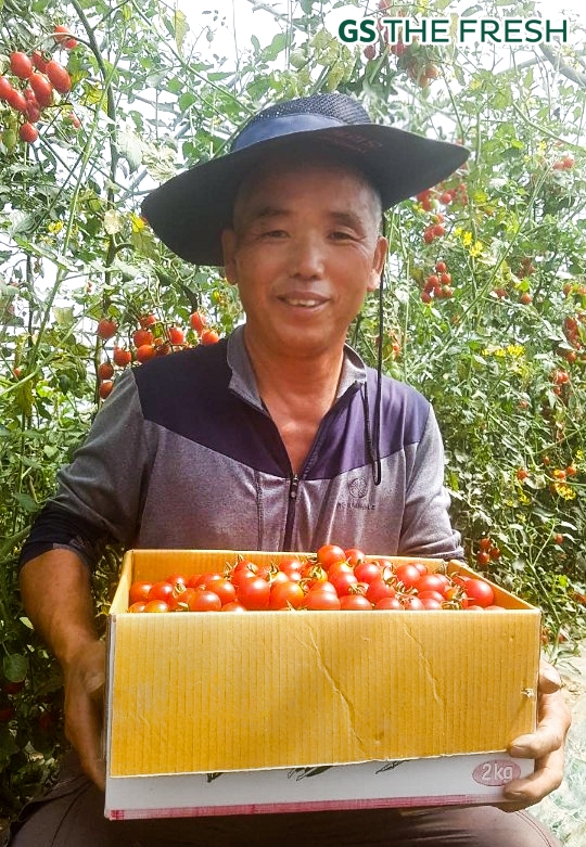 부여지역에서 방울 토마토를 재배한 농민이 방울토마토을 선보이고 있다. / 사진 제공 = GS리테일