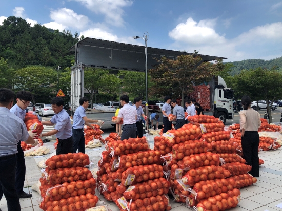 전라남도가 양파,마늘사주기 운동을 펼치고 있다./사진=전라남도
