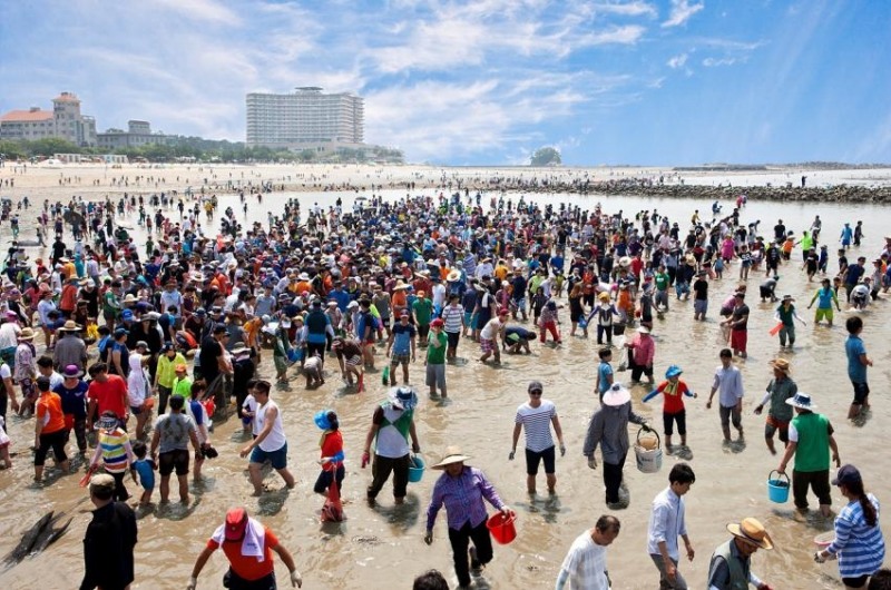 무창포해수욕장 13일 본격 개장…'신비의 바닷길·낙조' 보러오세요