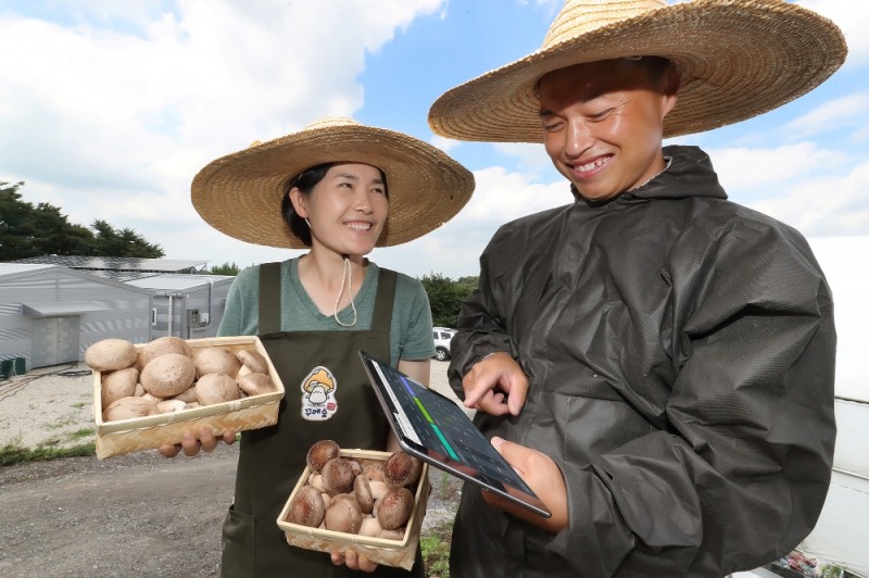 KT, 농사와 태양광 발전 동시에... 영농태양광 사업 본격화