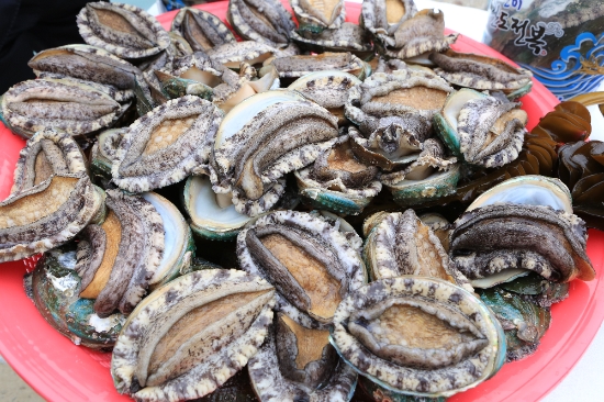 완도전복/사진=완도군