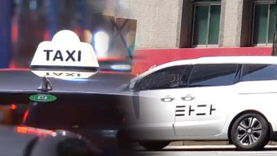 '타다·카카오T·웨이고' 합법 사업자 허용