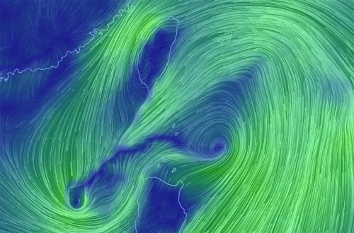 출처 구글어스눌스쿨