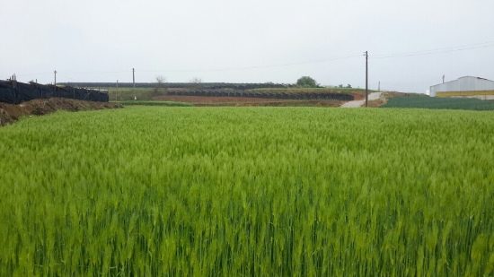 사진=영광군
