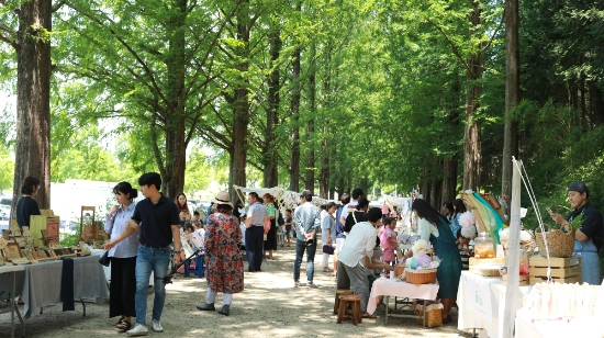 사진=담양군