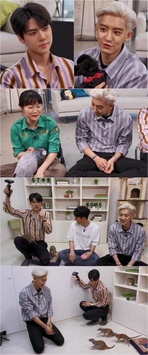 사진제공MBC마이리틀텔레비전 V2