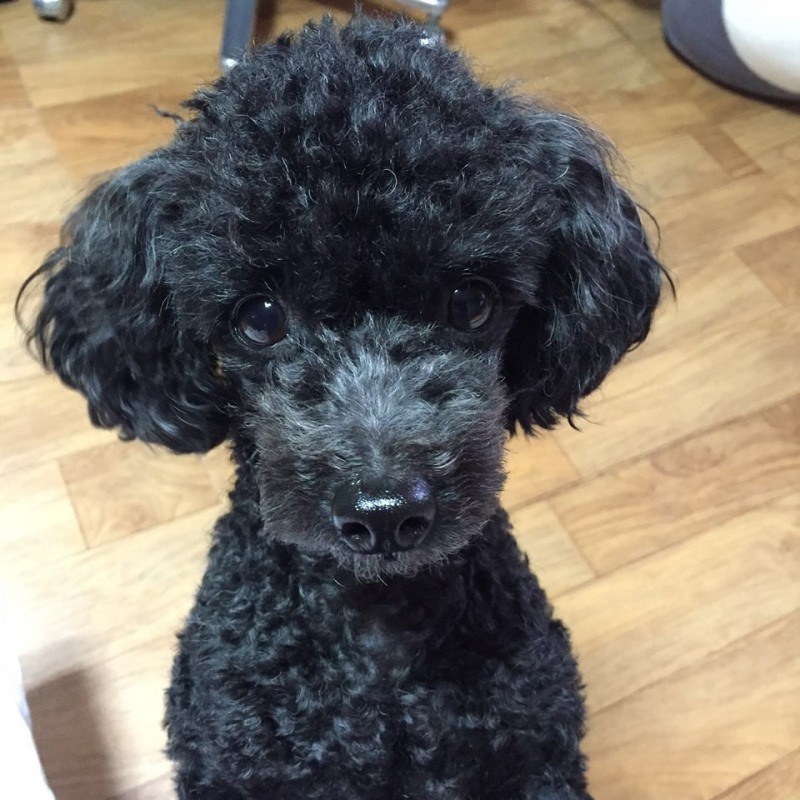 사진출처=송해나인스타그램