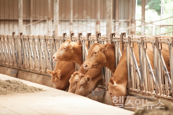 「축산물 위생관리법 시행규칙」개정안 입법예고